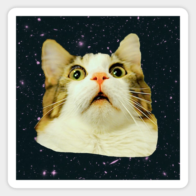 Stunned Space Cat Sticker by James Mclean